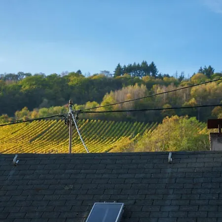 Gruenberg House Traben-Trarbach