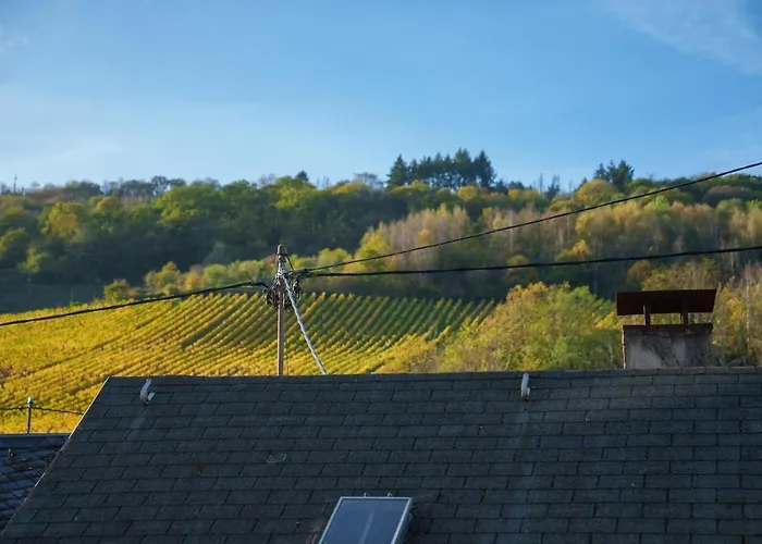 Gruenberg House Traben-Trarbach